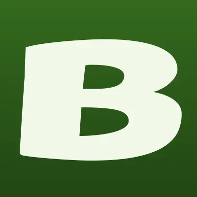 БОРФ, лого-визитка