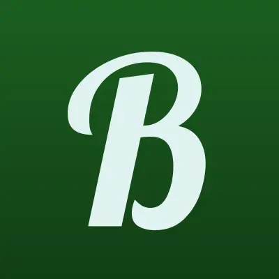Baska, шоурум, лого-визитка