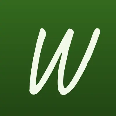 Wildberries, интернет-магазин, лого-визитка